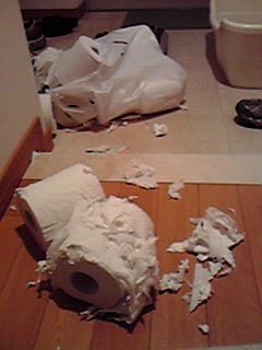 2010022037292790300001.jpg