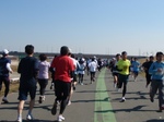 2010022037292790300013.jpg