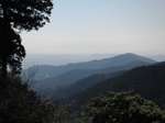 2010031472621891200013.jpg