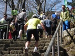 2010031472621891200040.jpg