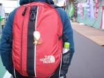 2010031472621891200088.jpg