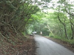 20100801-000038.jpg