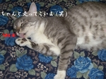 暇み~ちゃん(笑).jpg