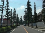 934u8r3r9000013.jpg