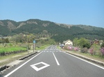 934u8r3r9000017.jpg