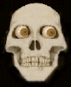 dodoani7.gif