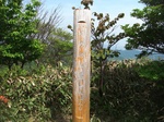 efejfopr00002.jpg