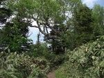 efejfopr00003.jpg