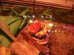 ijfrio400001.jpg