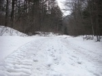 ugeu9000035.jpg