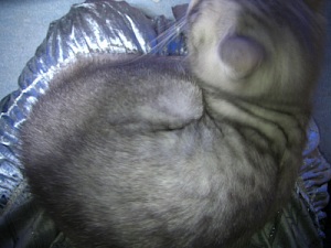 we980900001.jpg
