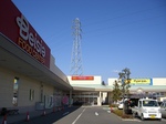 yokoCIMG6282.jpg
