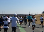 2010022037292790300014.jpg