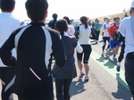 2010022037292790300015.jpg