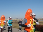 2010022037292790300016.jpg