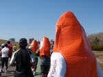 2010022037292790300017.jpg