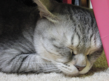 201005222045.jpg