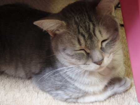 201005222047.jpg