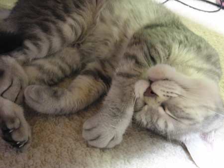 201005222050.jpg