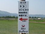 20100612-600026.jpg