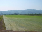 20100612-600027.jpg