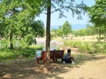 20100612-600029.jpg