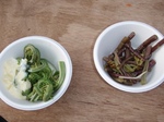 20100612-600037.jpg
