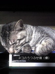 image/2011-03-03T00:41:16-1.jpg