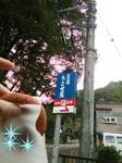 20150929_131301.jpg