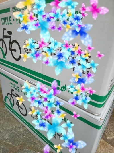 3232j2p3.jpg
