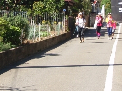 43094300003.jpg