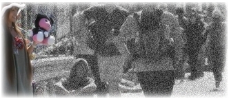 4334p34r.jpg