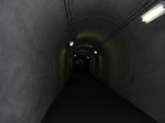43ytr34y9tr00005.jpg