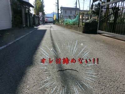 704rrr00002.jpg