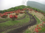 c67485900011.jpg