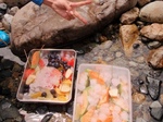 eyuew329800028.jpg
