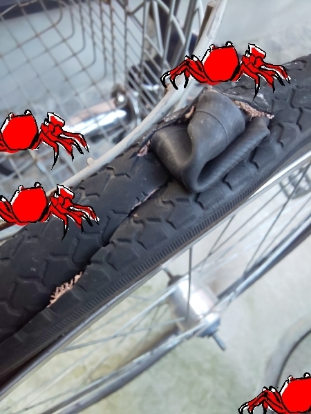 hggiu00001.jpg