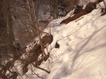 ierewu00001.jpg