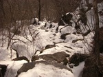ierewu00005.jpg