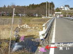 img601.jpg