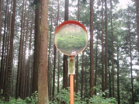 kkerjopewkpw00002.jpg