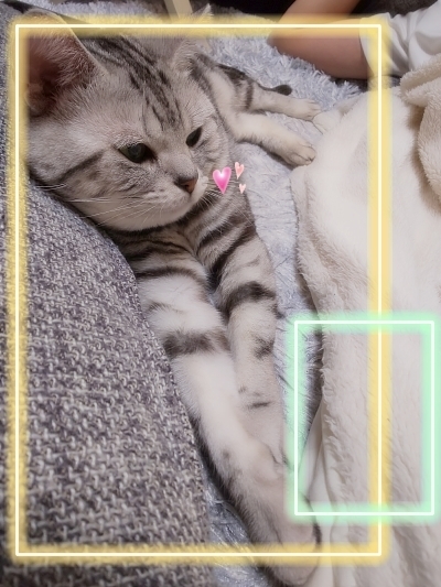 qwy8qwy00005.jpg