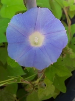 reerp00002.jpg