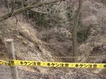 rugf894u00002.jpg