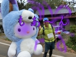 wqhiowq00002.jpg
