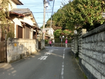 y3444300001.jpg
