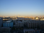 yokoCIMG0111.jpg