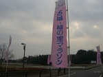 yokoCIMG7141.jpg