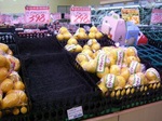 yokoCIMG9437.jpg