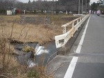 yokoCIMGhihioj.jpg